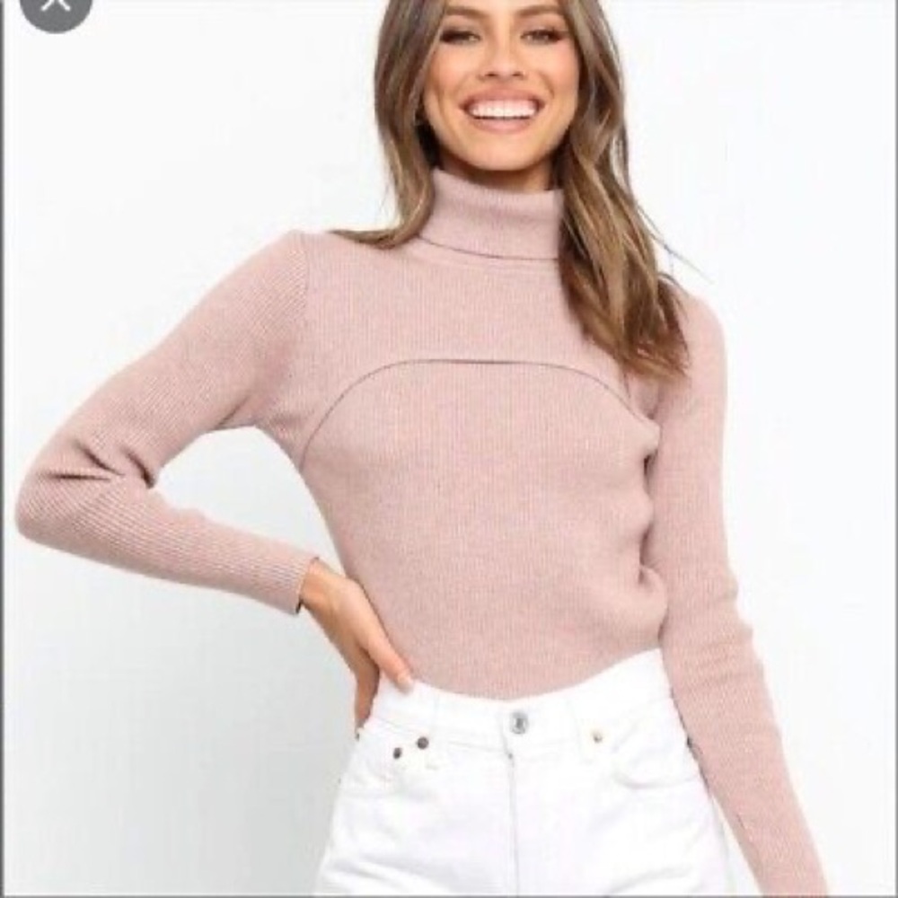 Petal & Pup Mauve Turtleneck Sweater